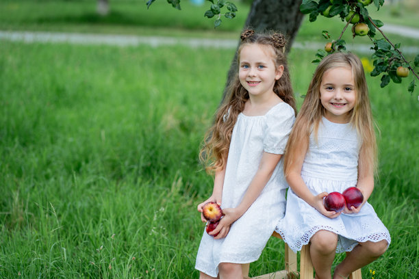 两个可爱的小女孩在花园里笑着摘篮子里的苹果。水果。图片下载