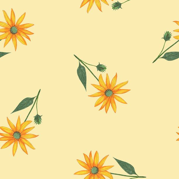 Topinambur花无缝图案。花卉数码纸。图片下载