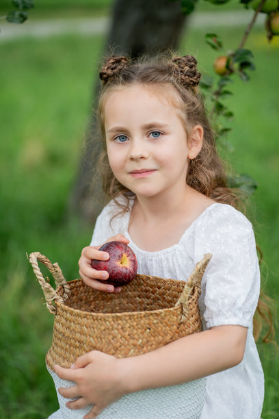 可爱的小卷发女孩，长头发，蓝眼睛，穿着白色的裙子，在花园里摘苹果。水果。图片下载
