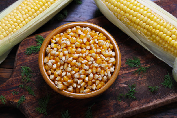 玉米和玉米的面粉和种子变异图片下载