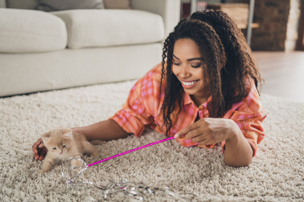 照片开朗闪亮的女士穿着格子衬衫躺在地板上享受玩小猫戏弄棍棒在室内房间家里的房子图片下载