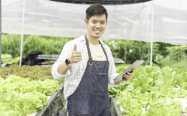 在农业行业工作的业主农民和亚洲人园丁。水培农业系统。创业小理念图片下载