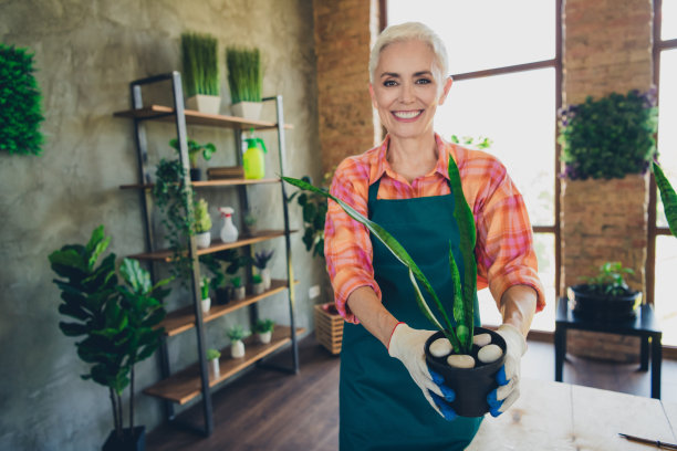 可爱的养老金领取者夫人的照片肖像花店持有室内植物订购准备穿围裙工作花店工作室小生意图片下载