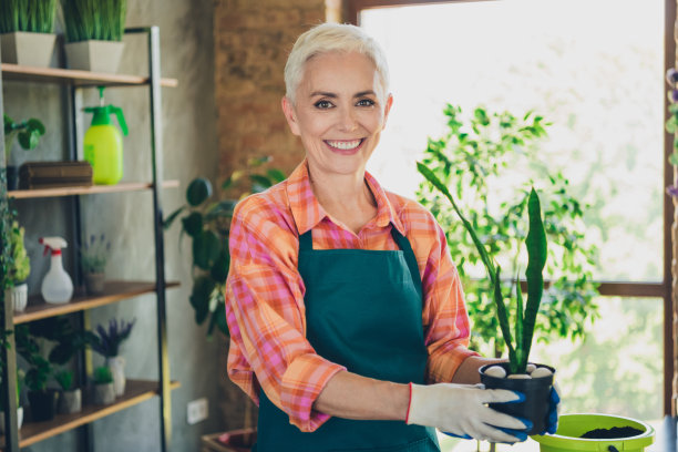 可爱的退休老人的照片肖像女士花店持有室内植物愉快的微笑穿围裙工作花店工作室小生意图片下载