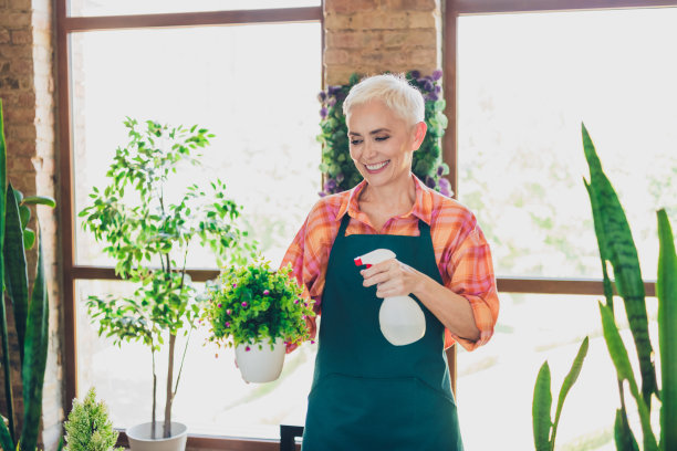 照片可爱的老人画像女士花店水喷植物护理治疗穿围裙工作花店工作室小生意图片下载