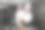 年轻的亚洲女厨师和男厨师正在厨房做饭图片下载