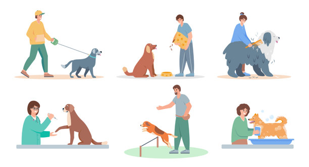 人们照顾狗。男人和女人遛狗，训练，喂养，梳理，清洗和接种疫苗的狗。狗狗爱好者，主人或志愿者角色。图片下载