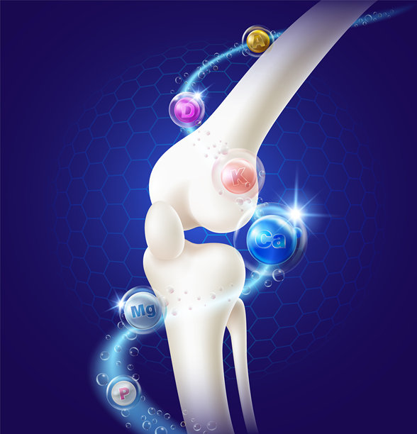 对骨骼很重要的维生素图片下载