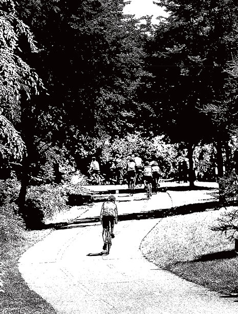 一群骑自行车的人在城市公园图片下载