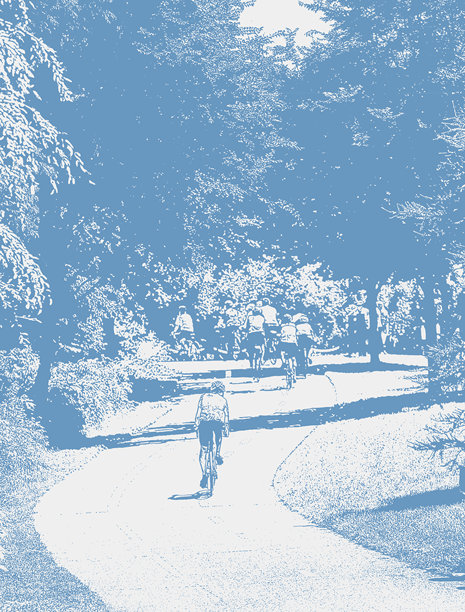 一群骑自行车的人在城市公园图片下载