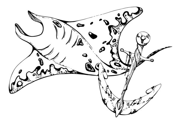 黄貂鱼与锚，海洋生物，海洋水下生物动物，墨水和钢笔手绘素描。构图插图，风格化，孤立在白色。商店，水族馆，化妆品，度假村图片下载