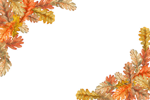 边框上点缀着秋色鲜艳的橙黄、黄黄、棕黄的橡树叶。水彩植物插图。框架模板与树叶，橡子收获节，感恩节，万圣节图片下载