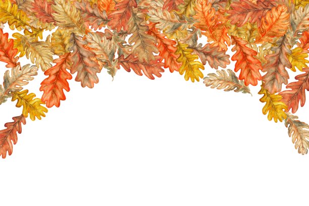 边框上点缀着秋色鲜艳的橙黄、黄黄、棕黄的橡树叶。水彩植物插图。框架模板与树叶，橡子收获节，感恩节，万圣节图片下载