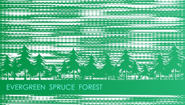 水平冬季白色绿色云杉森林抽象背景与轮廓冷杉树，覆盖，网站呈现在高清格式。互联网产品网页设计的UI模板布局。向量横幅图片下载