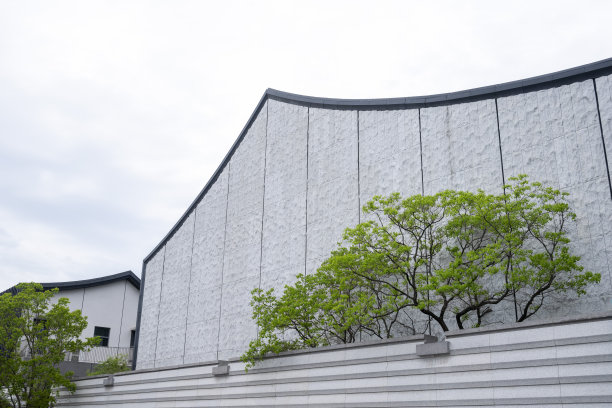 现代别墅外墙上的一棵树图片下载