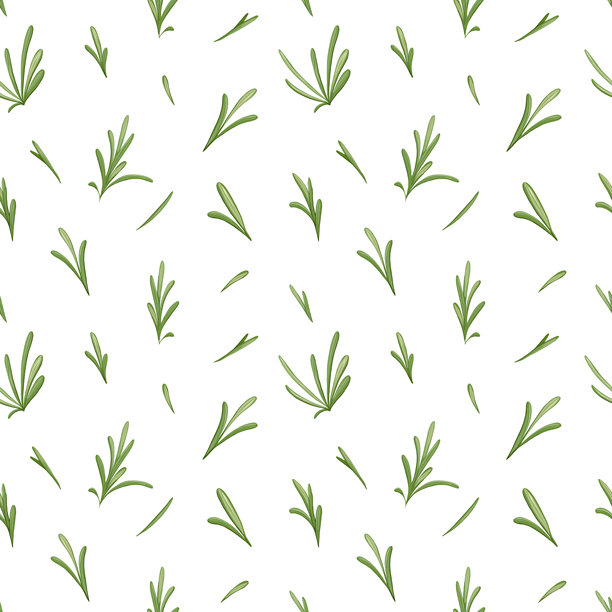 矢量与迷迭香叶无缝图案图片下载