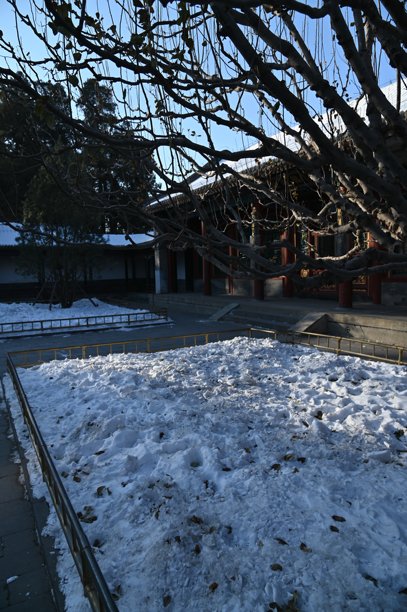 北京冬天的风景图片下载