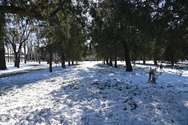 北京冬天的风景图片下载