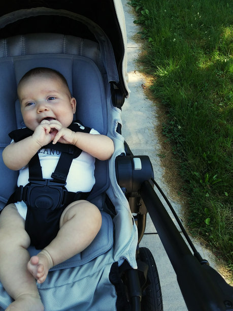 公园里可爱的孩子坐在婴儿车里的高角度照片图片下载