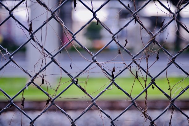 这张照片捕捉到了光秃秃的藤蔓紧贴在金属铁丝网上，与模糊的城市背景形成鲜明对比。葡萄藤上没有叶子暗示着时间、季节的流逝或城市环境对自然的影响。图片下载