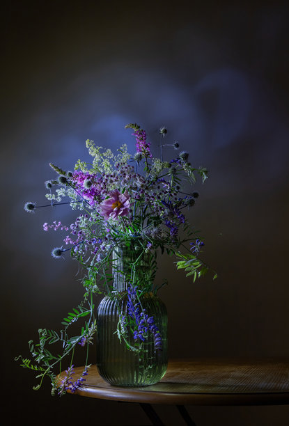 夏季静物在黑暗的背景图片下载