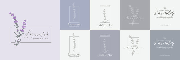 薰衣草花矢量集。花卉设计标签图片下载