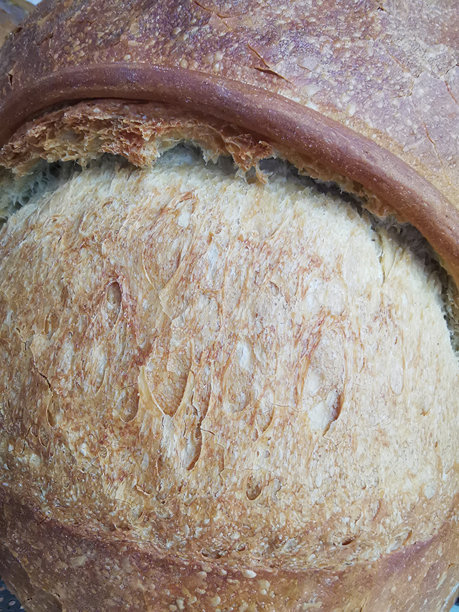 新烤面包的超特写图片下载