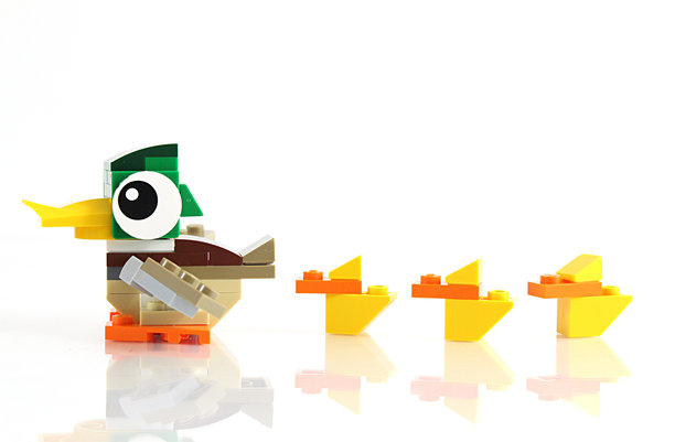 鸭子排成一排图片下载