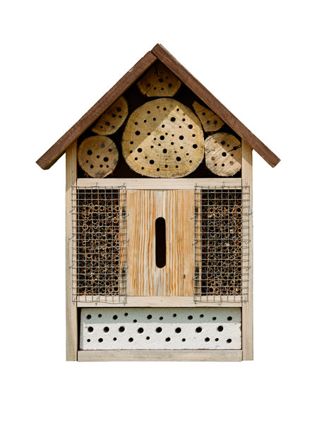 隔离在白色背景上的虫屋图片下载