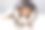 杰克罗素梗狗，爪子缠着绷带，戴着圆锥形项圈。图片下载