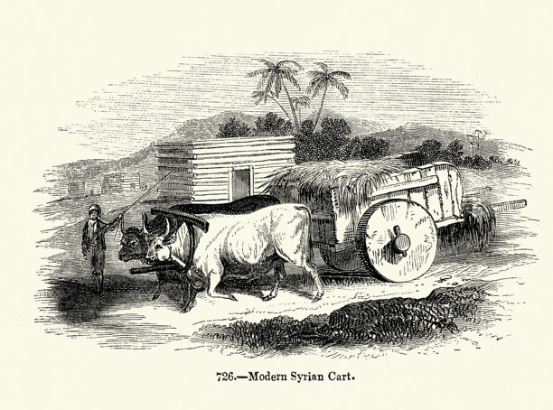 19世纪，叙利亚，农民用牛拉的马车运送干草图片下载