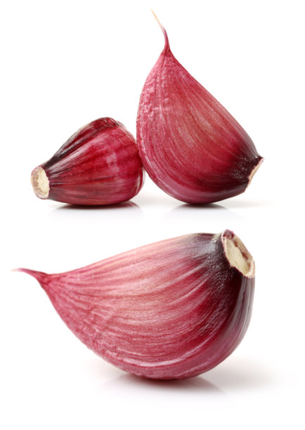 新鲜大蒜图片下载