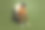 有魅力的年轻人全身照片坐在办公室扶手椅严肃的老板穿着时髦的棕色衣服孤立在卡其色背景图片下载