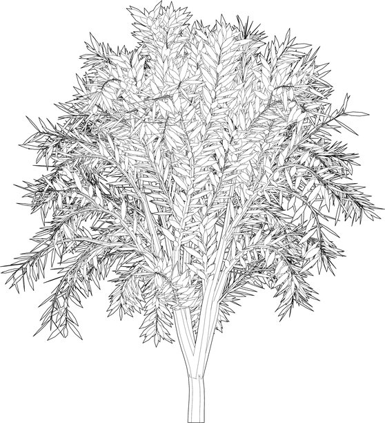 树木和植物的3D插图图片下载