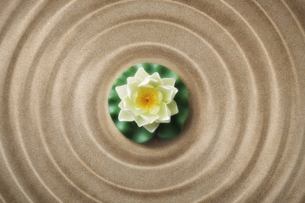 黑色心形的石头在沙滩上，有同心的波浪图片下载