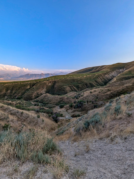 多角度的景色，绿草丛生的小山，干涸的河流的山谷，灌木丛，远处的高山和蓝天白云。垂直的照片。图片下载