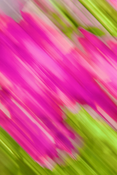 抽象活泼的粉红色和绿色背景图片下载