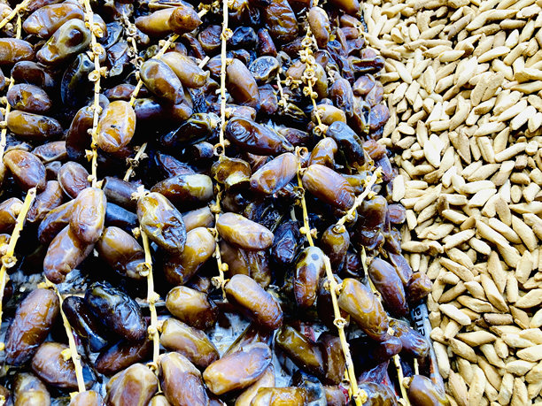 马拉喀什露天市场新鲜采摘的海枣（摩洛哥）图片下载