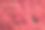 粉红色花朵的全画幅照片图片下载