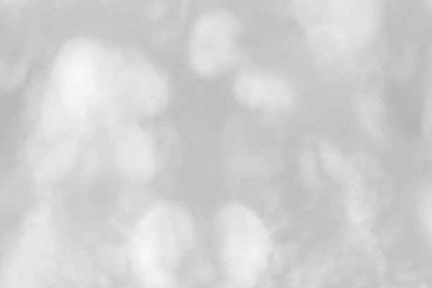 太阳的影子穿过森林，在白色的墙上形成圆点。图片下载