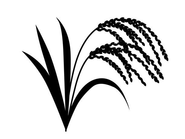 矢量插图的轮廓的大米图片下载