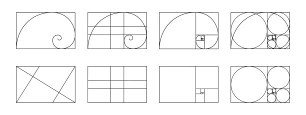 一套黄金比例模板。斐波那契数列网格。对数螺旋在矩形框架划分的线，正方形和圆形。理想的对称比例布局。矢量图解图片下载