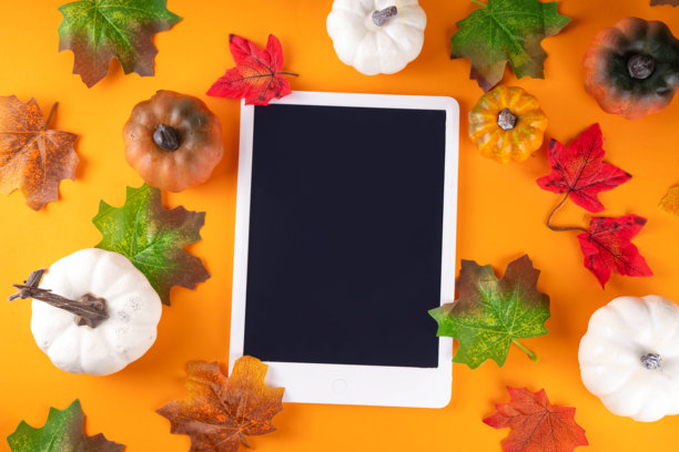 秋季假期，促销，邀请背景图片下载