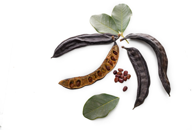 角豆豆荚特写，白色背景上的种子。微距美食摄影。配料健康营养理念。图片下载