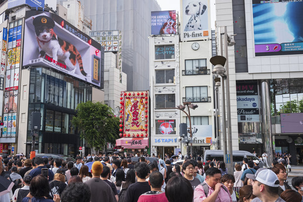 一只巨大的3D猫占据了东京最大的广告牌之一图片下载