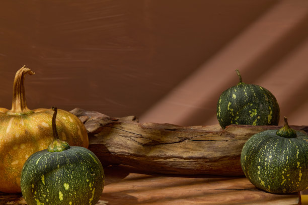 南瓜原料照片在乡村概念，是从正面看。一个空的原木展示在木制的桌面上，两边是新鲜的绿色和成熟的南瓜。广告空间图片下载
