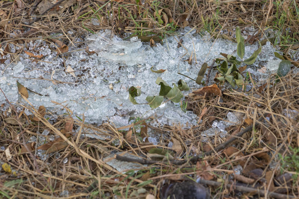 森林里地面上的玻璃碎片，照片的特写图片下载