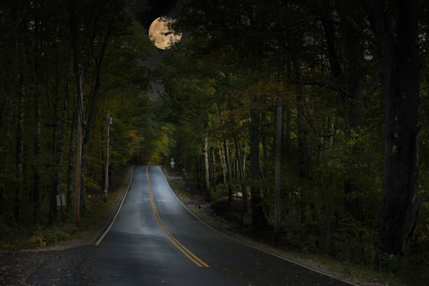 漆黑的森林里狭窄的道路被一轮巨大的满月照亮。美妙的夜晚，美妙的照片。图片下载