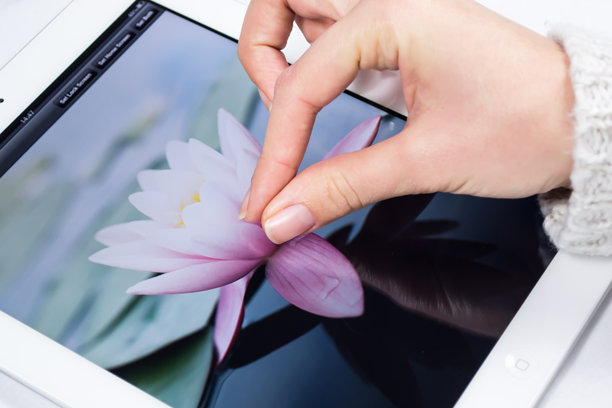 在iPad上看图片图片下载