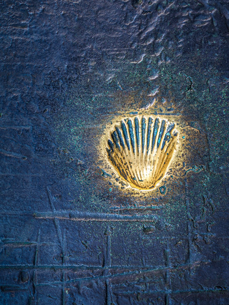 金色的扇贝壳在纹理暗青铜表面。图片下载